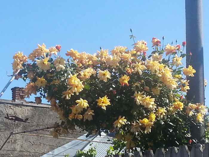 20140519_172046 - MAI IUNIE