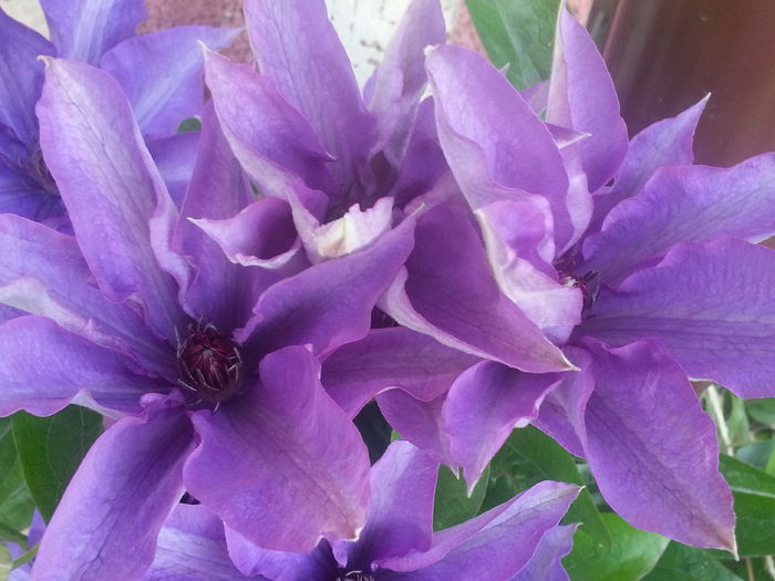 20140519_184840 - MAI IUNIE