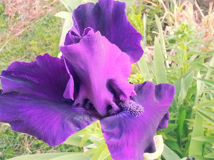 20140520_065941 - MAI IUNIE