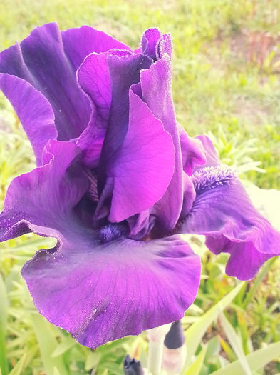 20140520_070122 - MAI IUNIE