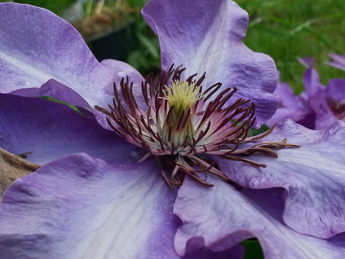 20140527_165330 - MAI IUNIE