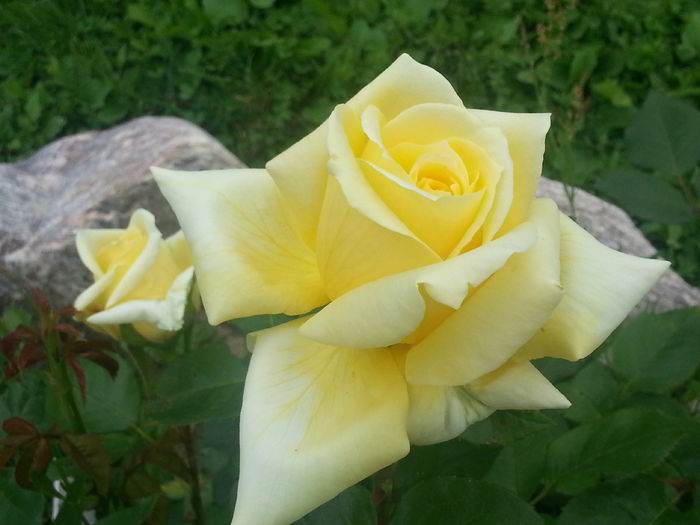 20140529_165843 - MAI IUNIE