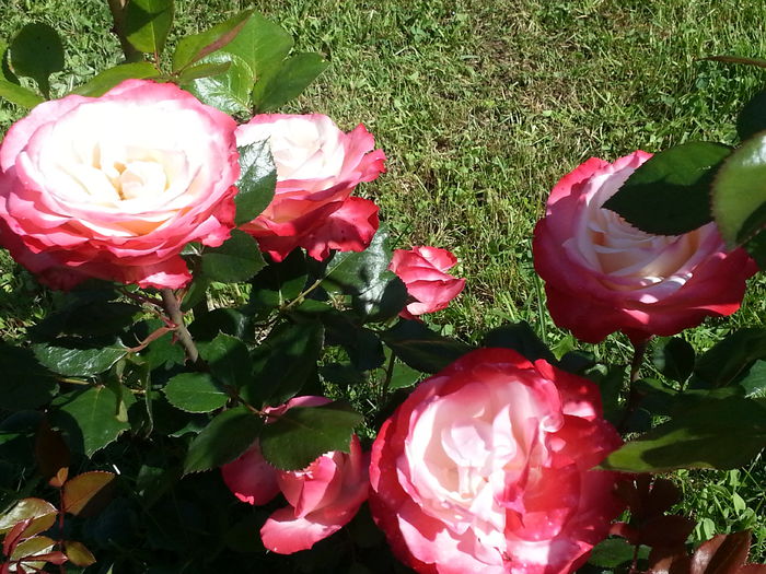 20140607_102130