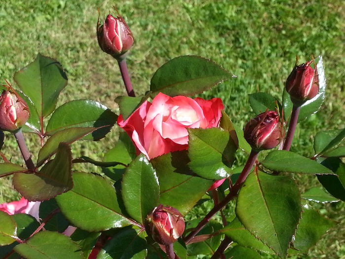 20140607_102135