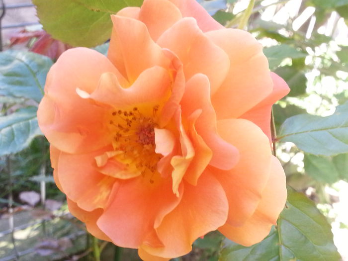 20140607_110415
