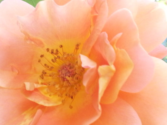 20140607_110424