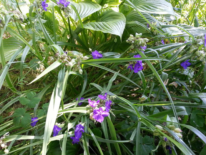 20140608_105408