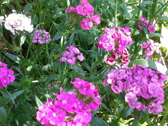20140608_105435