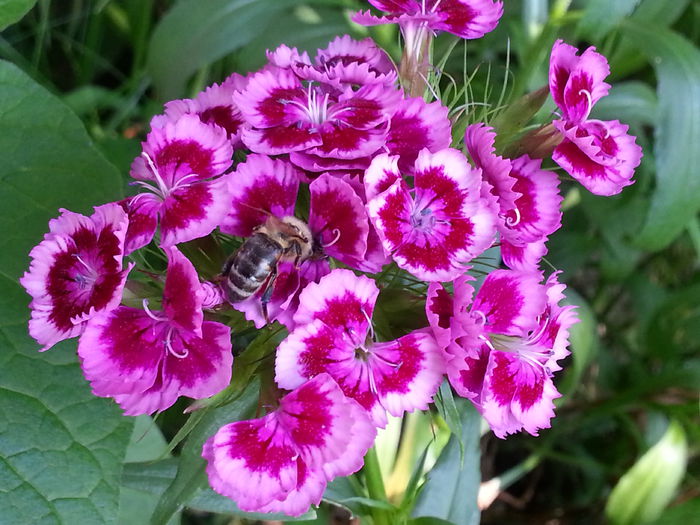 20140608_105507