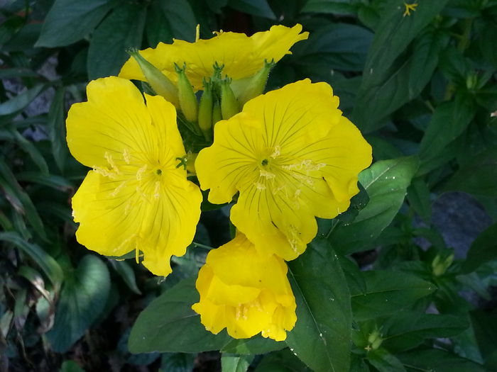 20140608_105524
