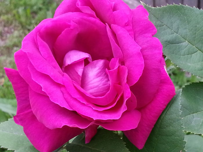 20140609_150405 - IULIE