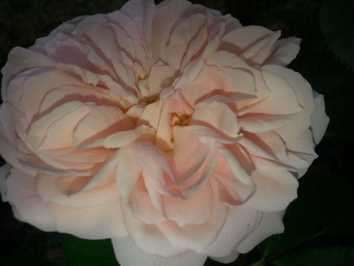 20140614_134444 - IULIE