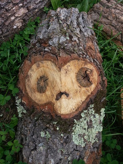 20140614_151931 - IULIE