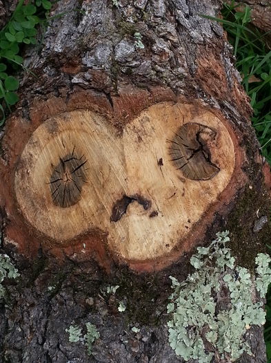 20140614_151949 - IULIE