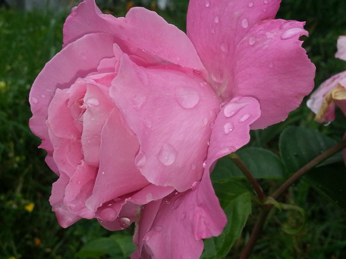 20140617_175720 - IULIE