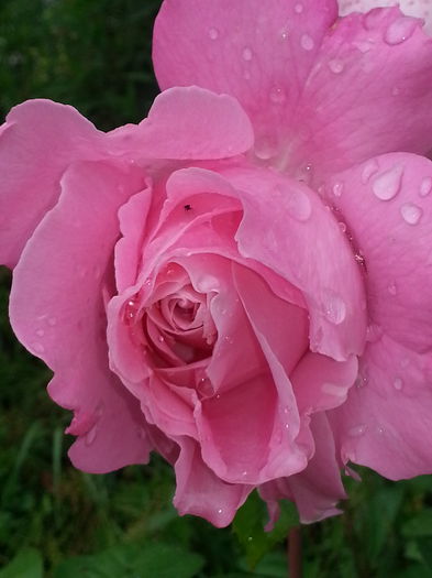 20140617_175729 - IULIE