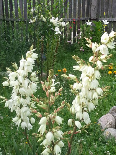 20140628_082342