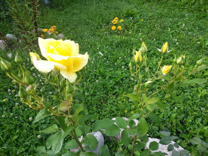 20140628_082433
