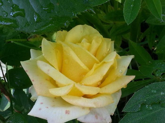 20140628_082718