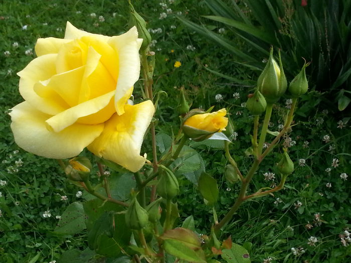 20140628_082753