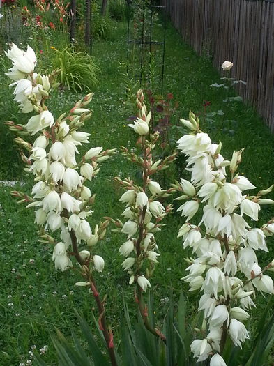 20140628_082813