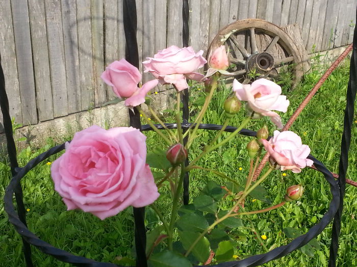 20140628_084200