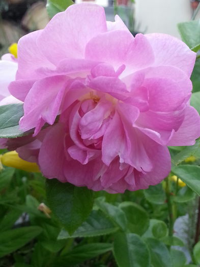 20140628_201335