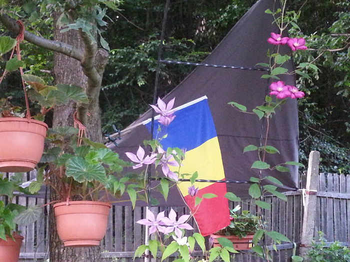 20140628_203626