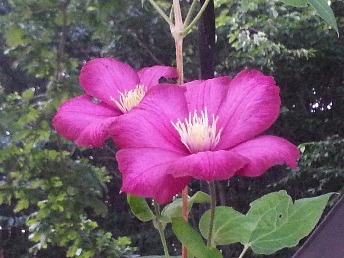 20140628_203741