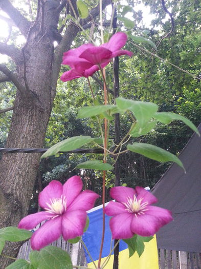 20140628_203753