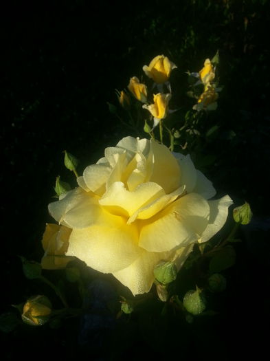 20140630_073224