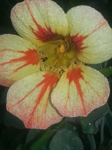 20140630_073354