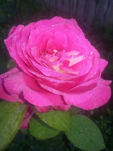 20140630_073439