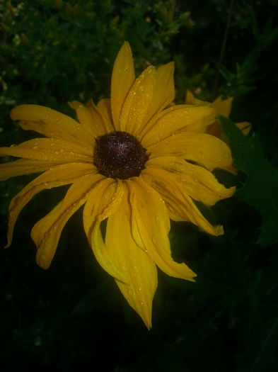 20140630_073610