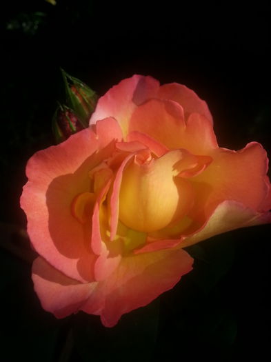 20140630_073847