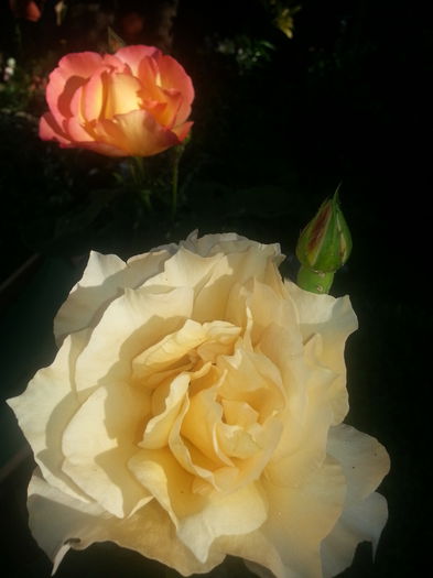 20140630_073915