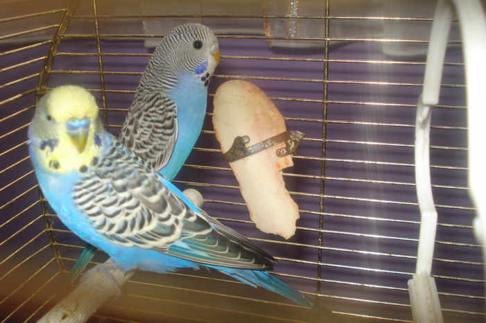 002; NU MAI SUNT SINGUR !!!
