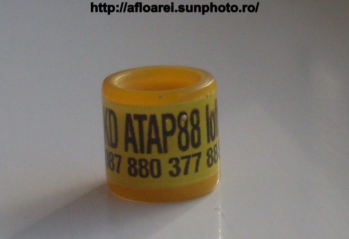 kd atap88 loft