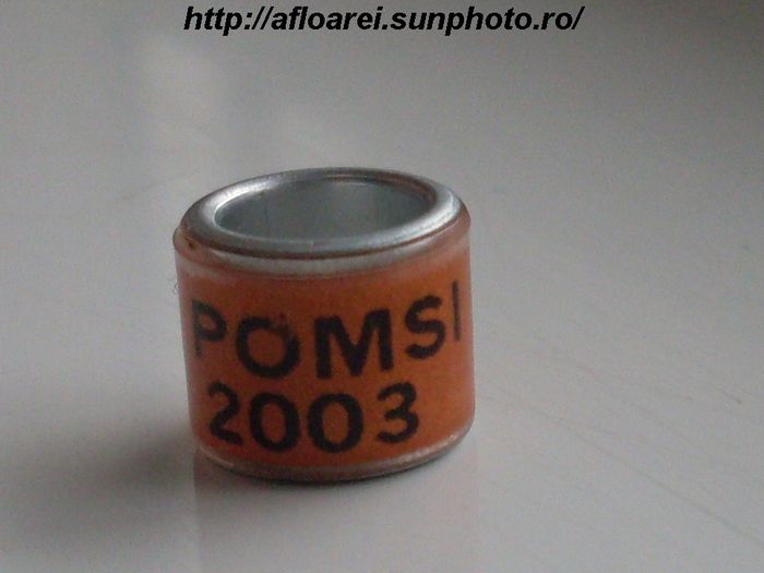 pomsi 2003 - INDONEZIA