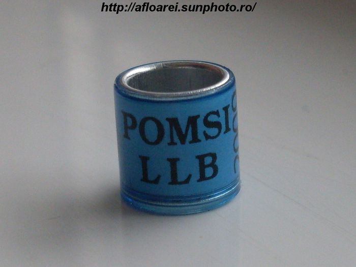 pomsi llb 2009