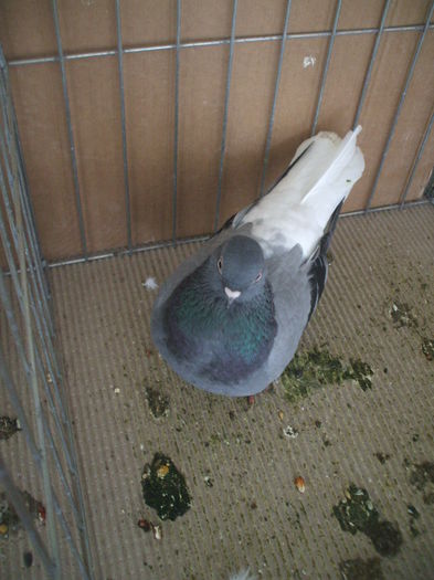 DSCF3677