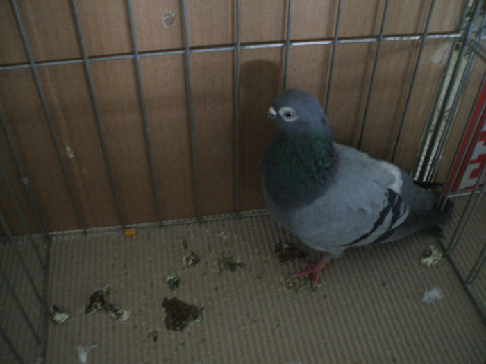 DSCF3689