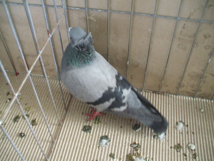 DSCF3760