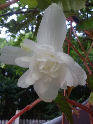 20140811_192543 - AUGUST