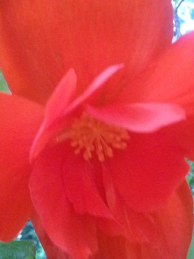 20140811_192604 - AUGUST