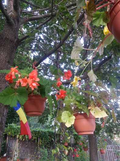 20140811_192630 - AUGUST