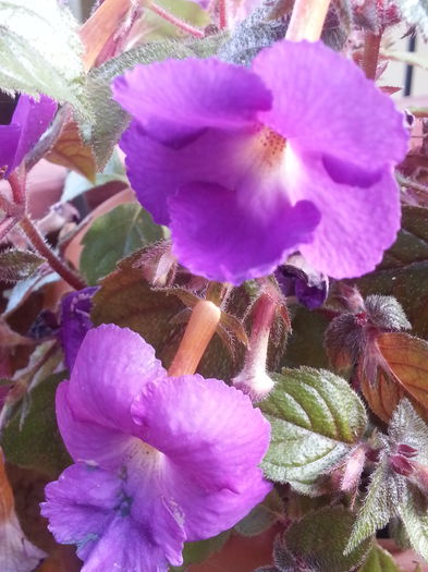 20140811_192929 - AUGUST