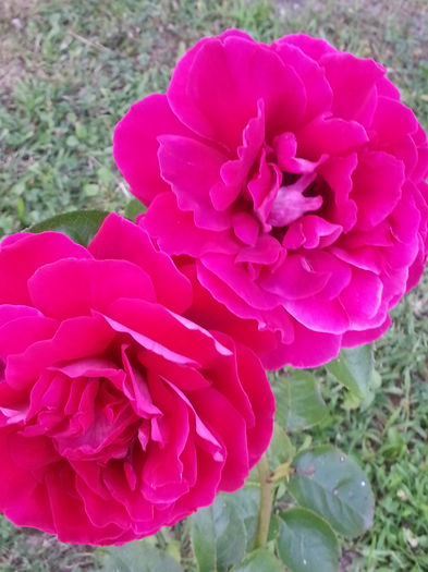 20140811_193208 - AUGUST