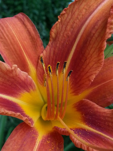 20140614_163545 - CRINI