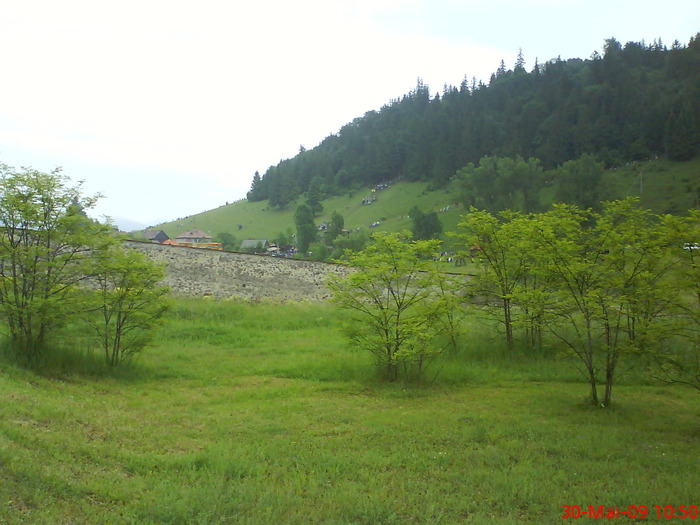 DSC01538 - Sumuleu-Ciuc